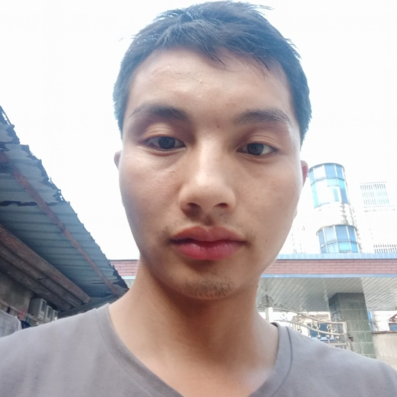 活泼奇异果的照片