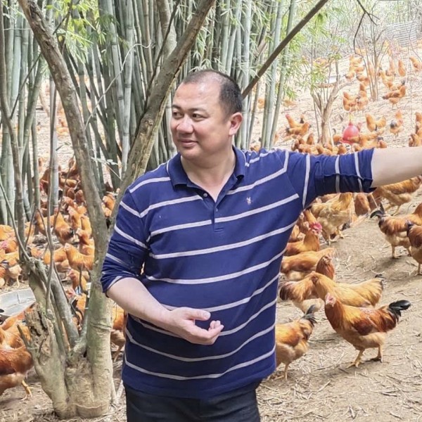 血剑一号的照片