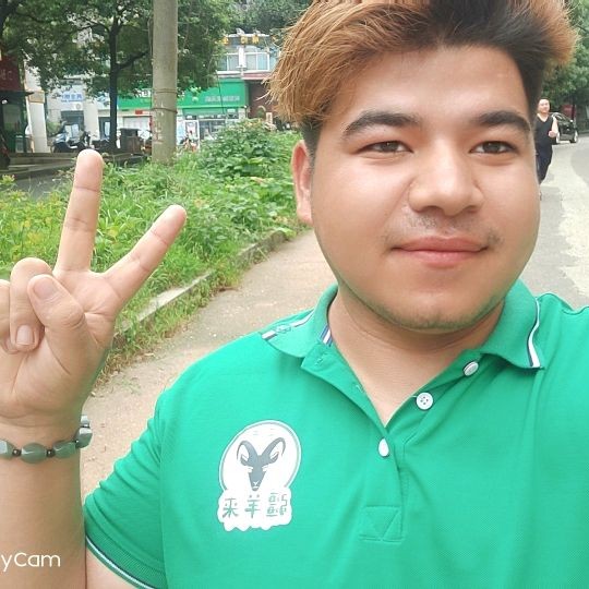 胡萝卜倾心无情的照片