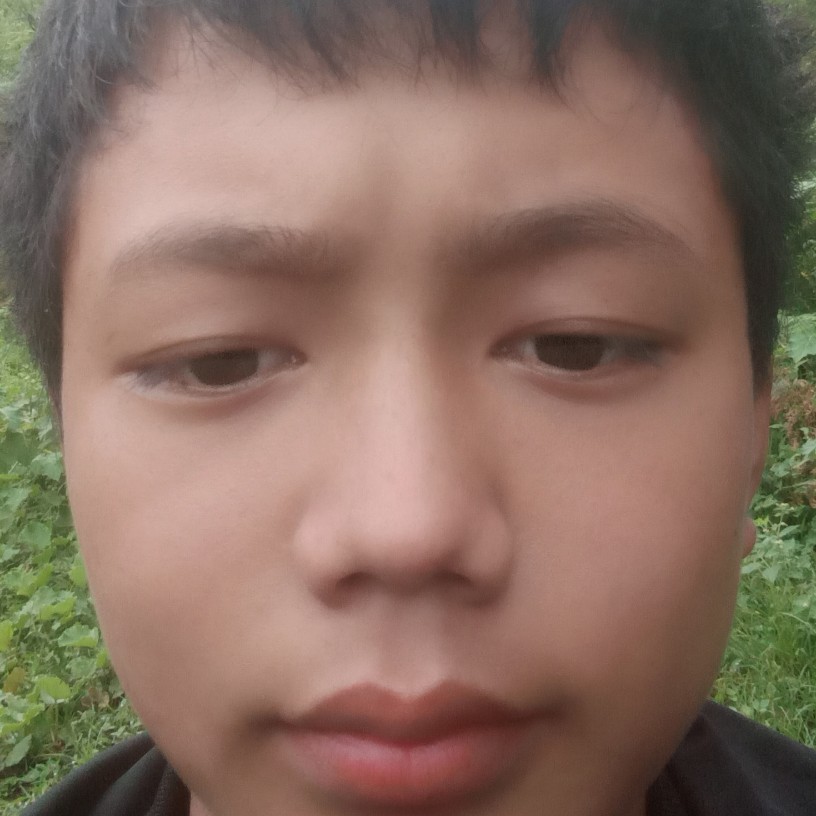 匕的照片