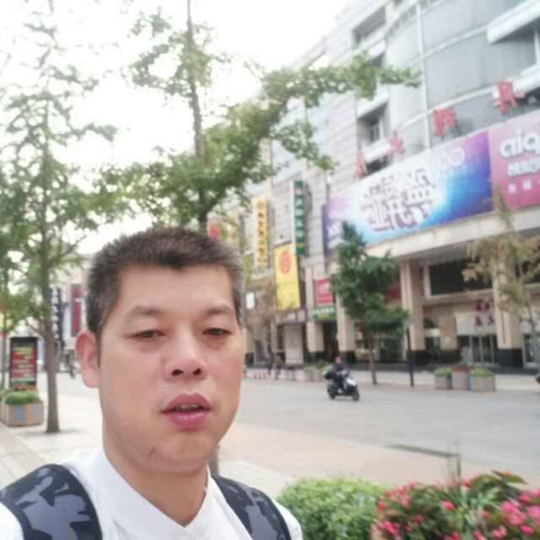 顺利小熊猫的照片