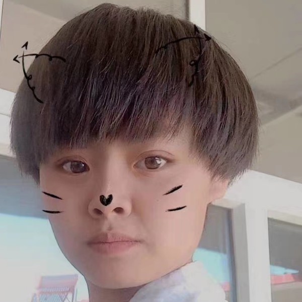 可靠演变书包的照片