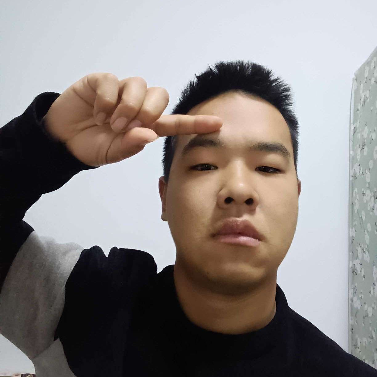 飞鱼报喜的照片