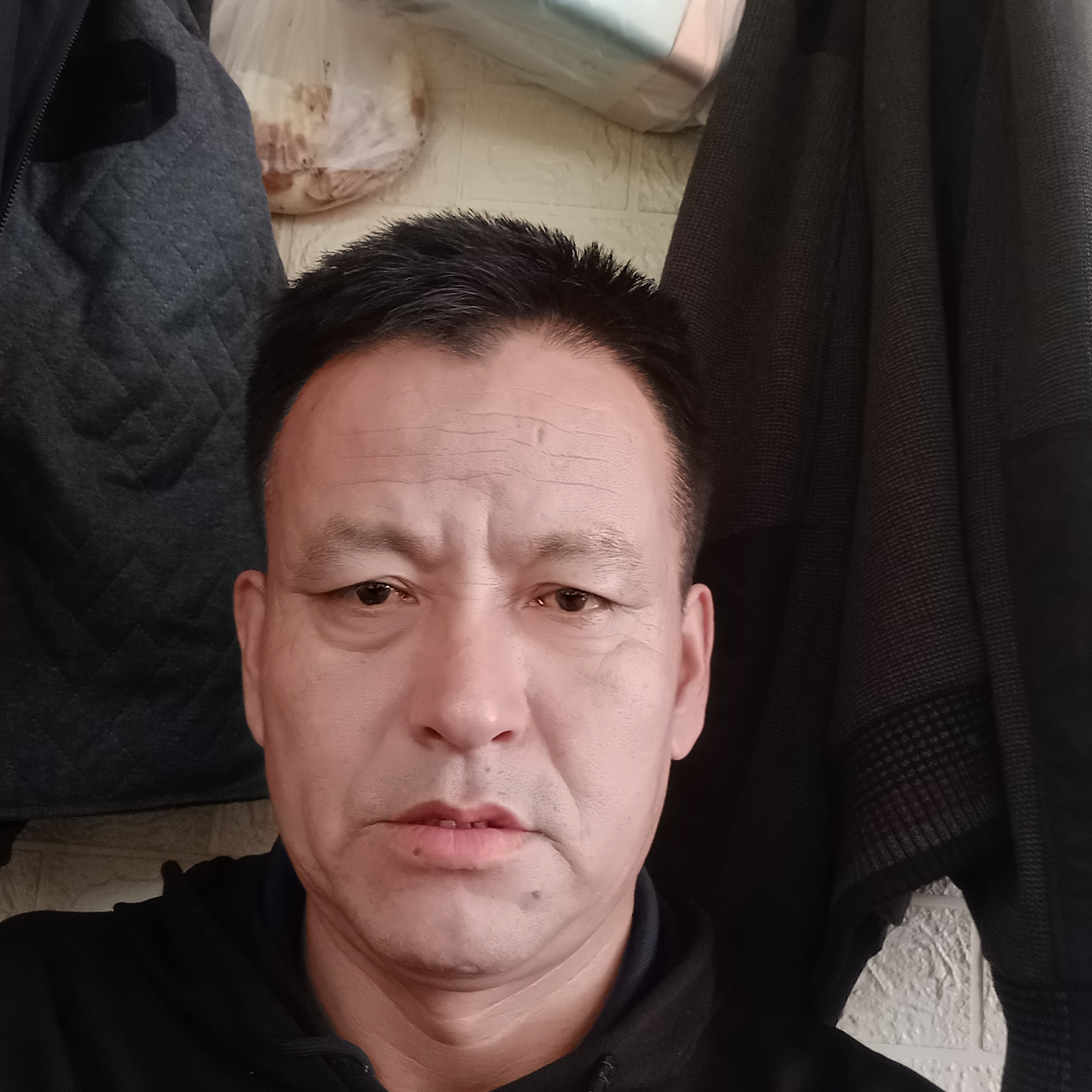 老实保卫含羞草的照片