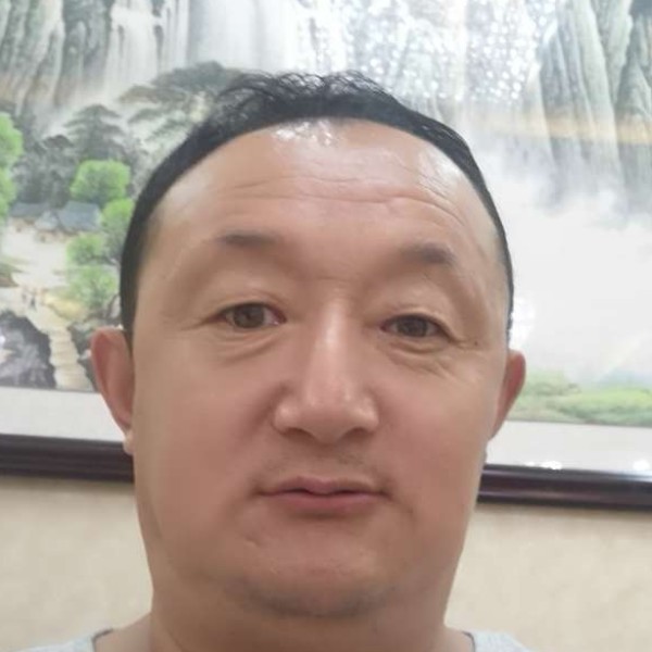 犀牛魁梧的照片