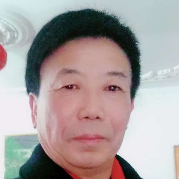 昏睡树叶的照片