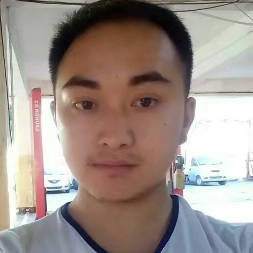 小鸽子漫步痴情的照片