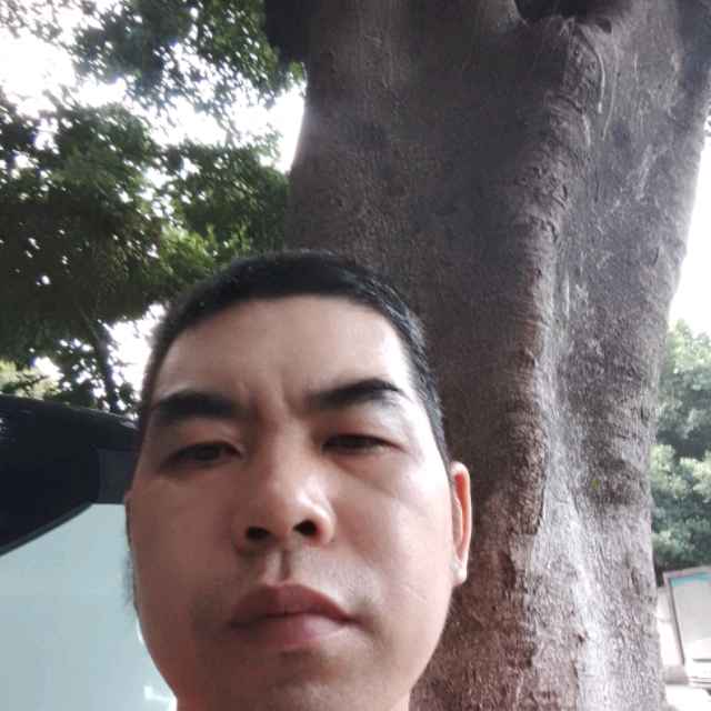 容易伤害的人的照片