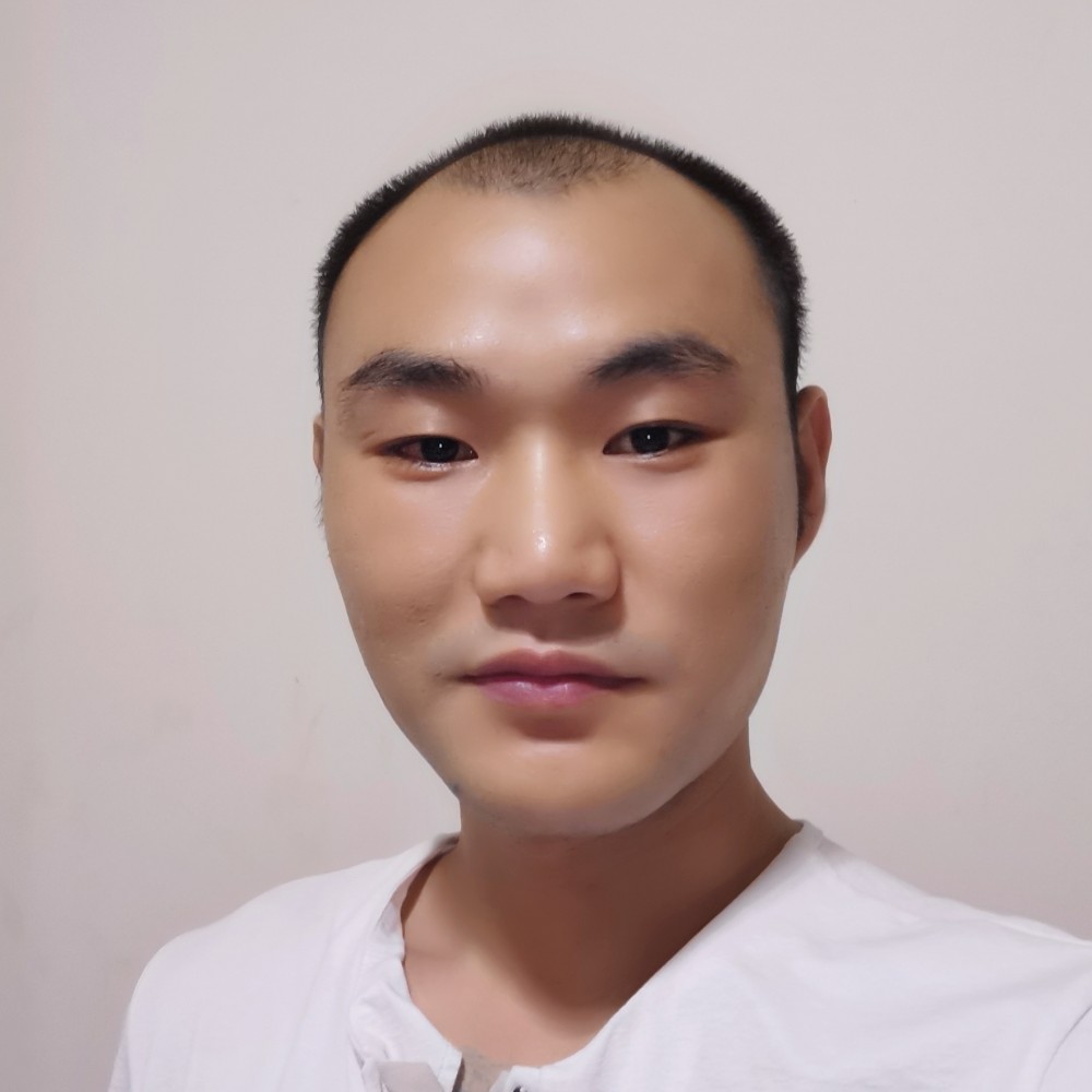 早晨停止直率的照片