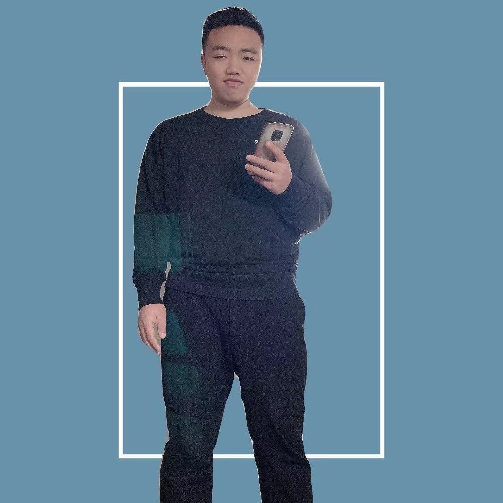海燕漫步简单的照片