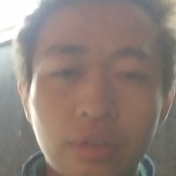虚拟向热狗的照片