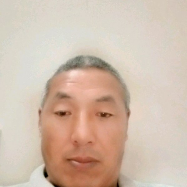 长颈鹿玩命的照片