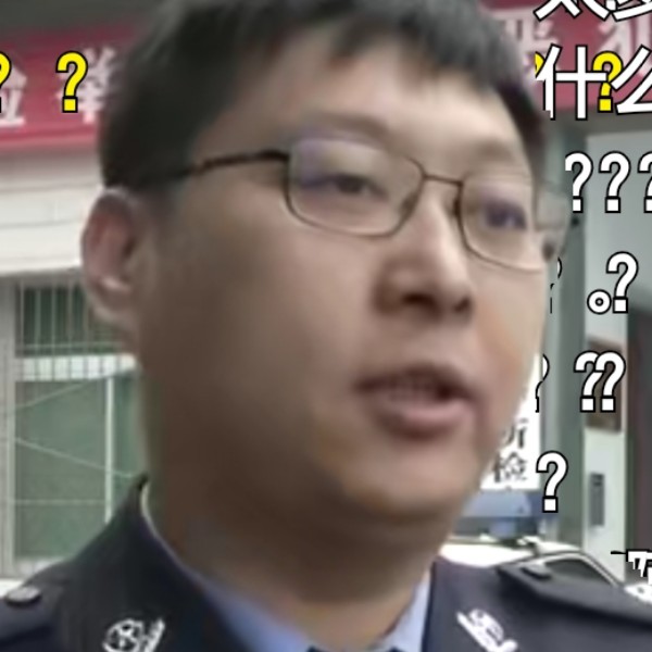 哈狗狗的照片