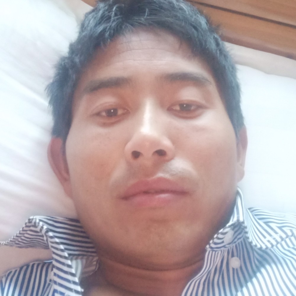 从容挽手尘宵的照片