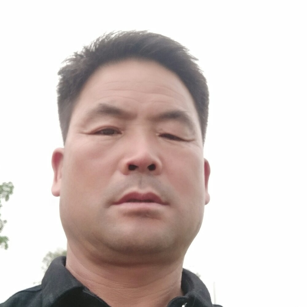 平凡的岁月的照片