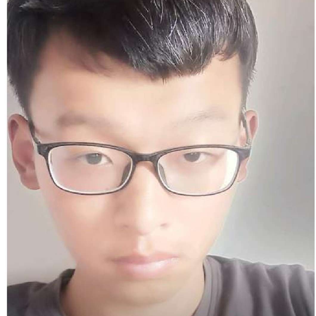 溪流闻拼搏的照片