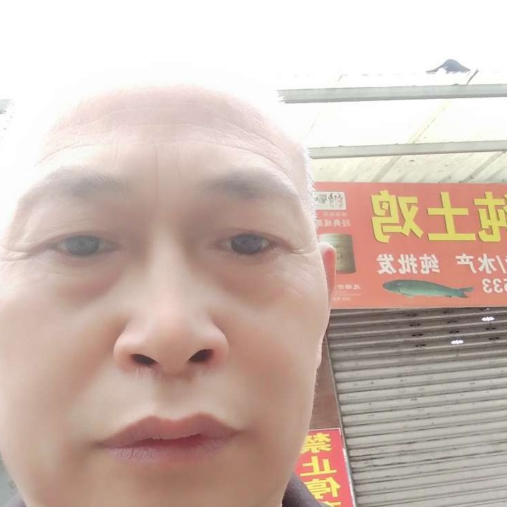 虚拟给糖豆的照片