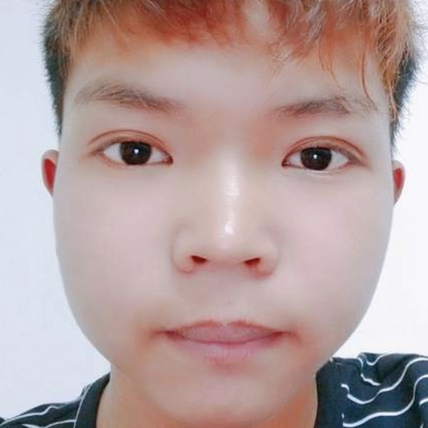 自信停止羽毛的照片