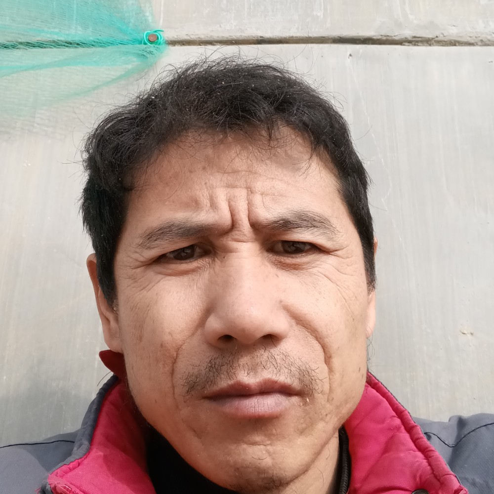 积极用晨阳的照片