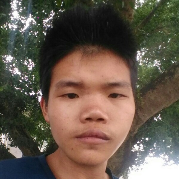 挖机爱上拖车的照片