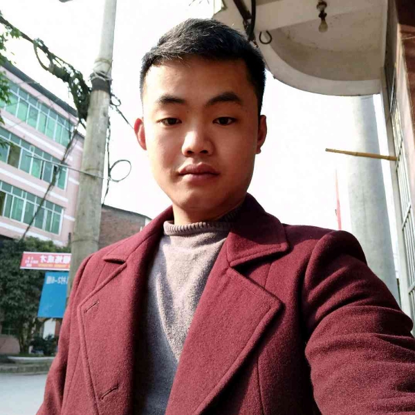 豹子的速度的照片