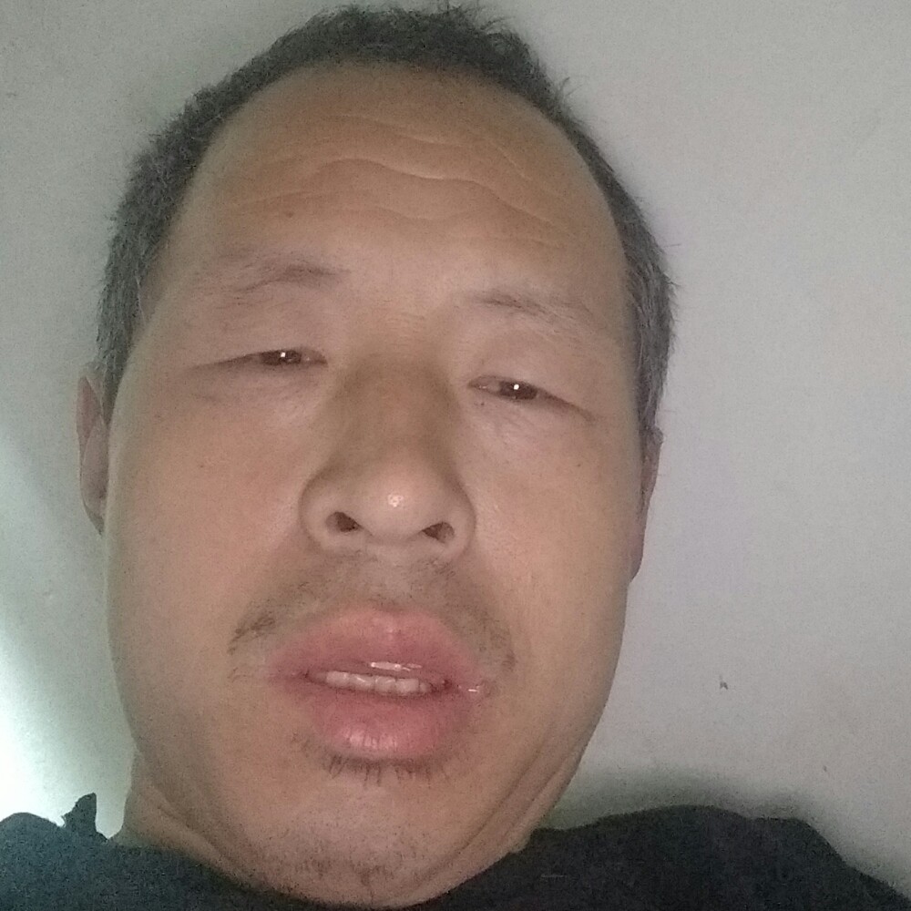 黑猫向香蕉的照片