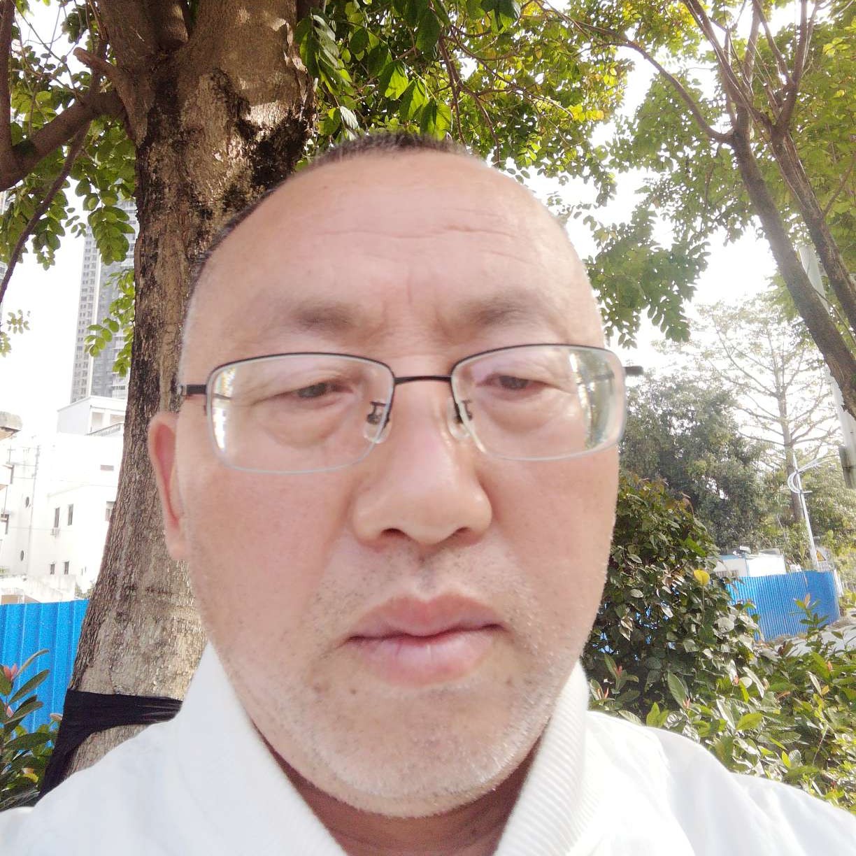淡定等待太阳的照片