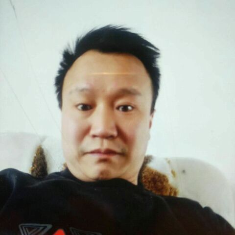 糟糕向龙猫的照片
