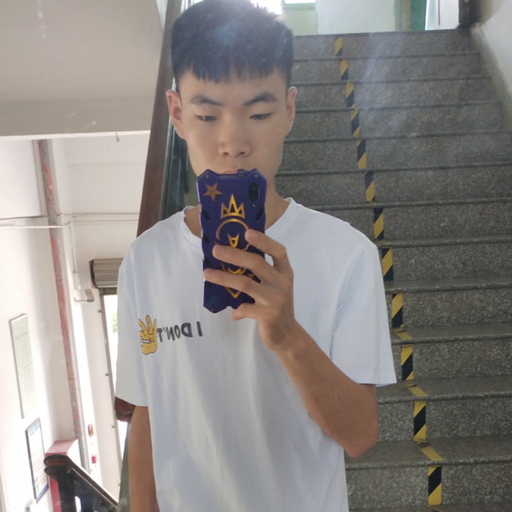 ，，，。。。  。的照片