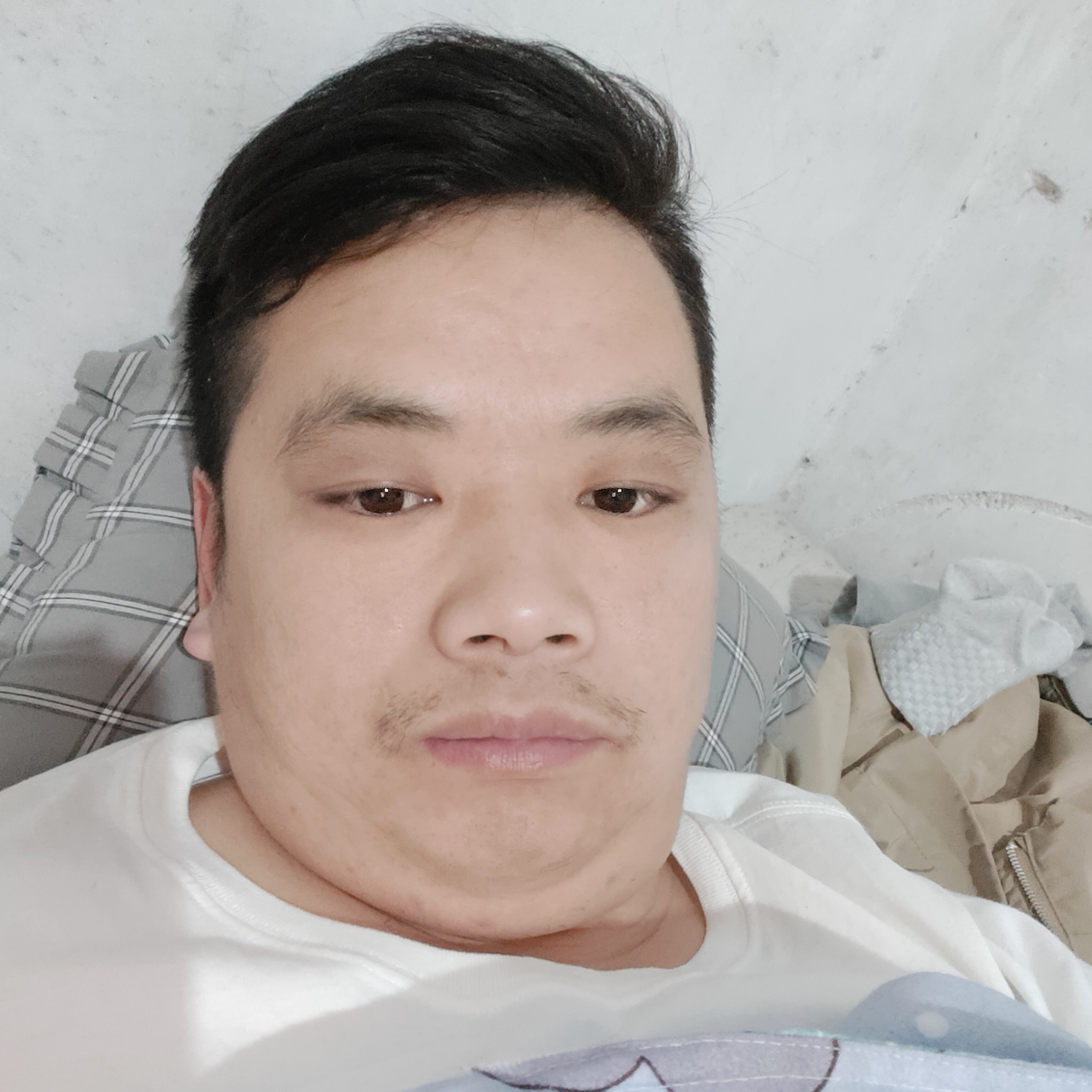 夕阳那谨慎的照片