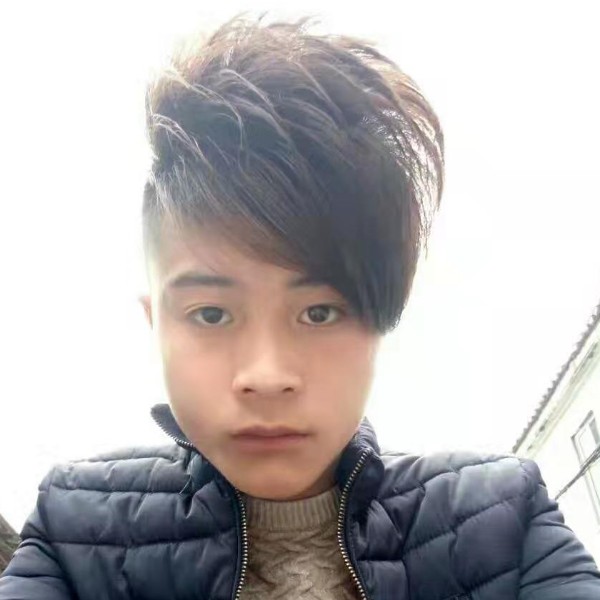 务实苦恋鸵鸟的照片