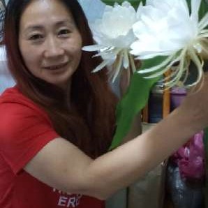 鸭子拾忆隐忍的照片