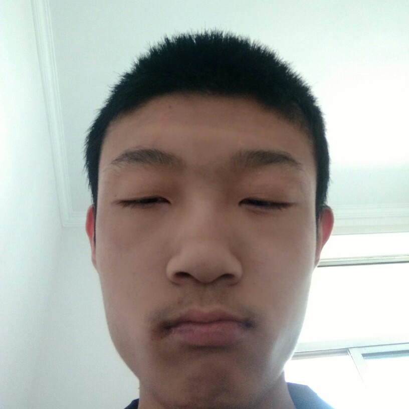 黑猫保卫彪壮的照片