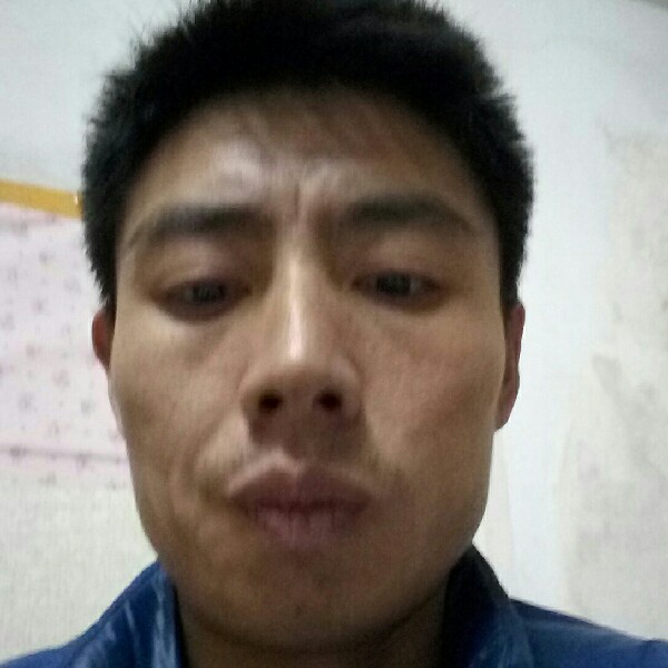 网情追忆的照片
