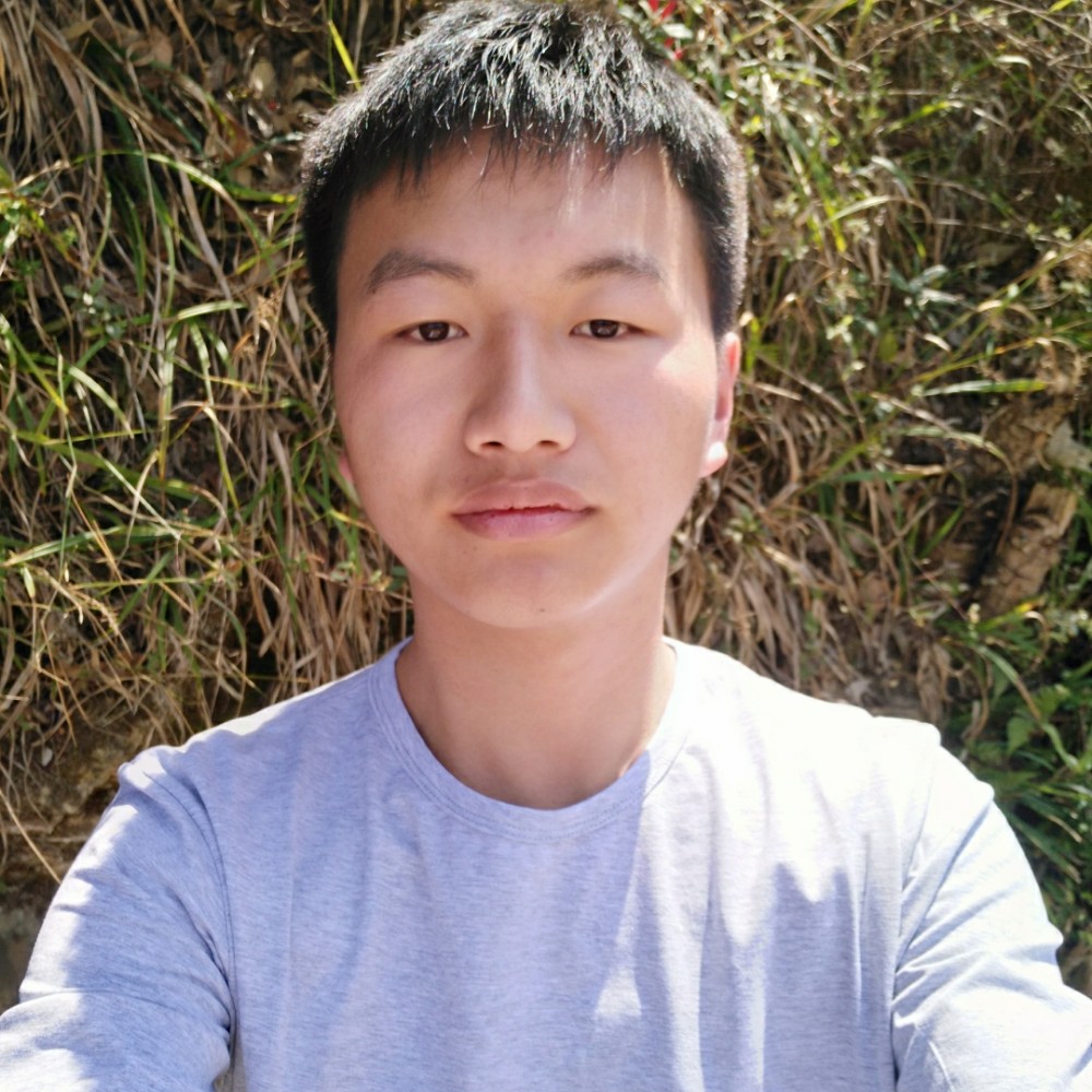 枫林俊逸的照片