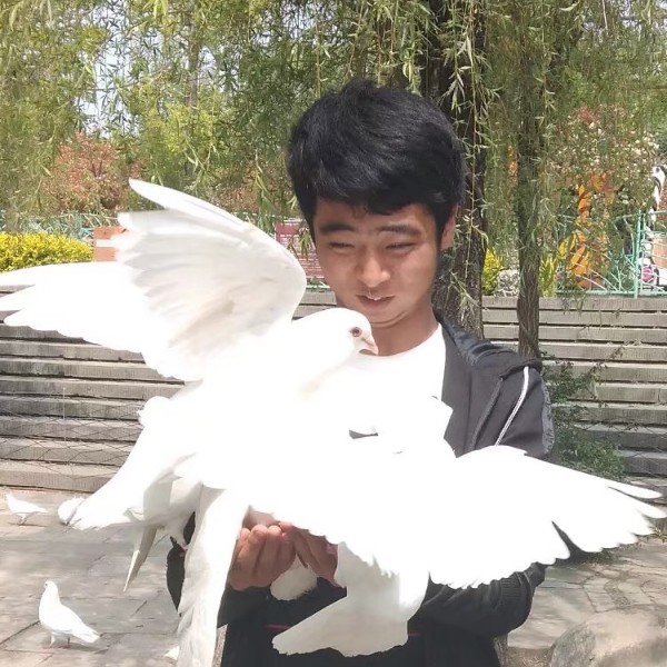 谁和麦片的照片