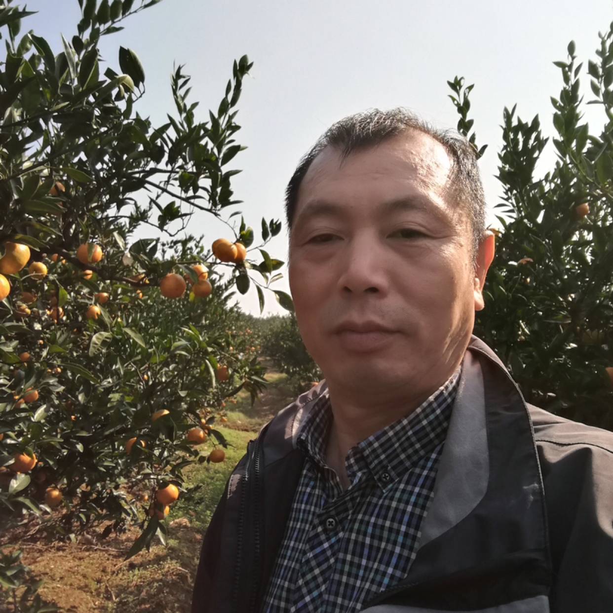 会员889278212的照片