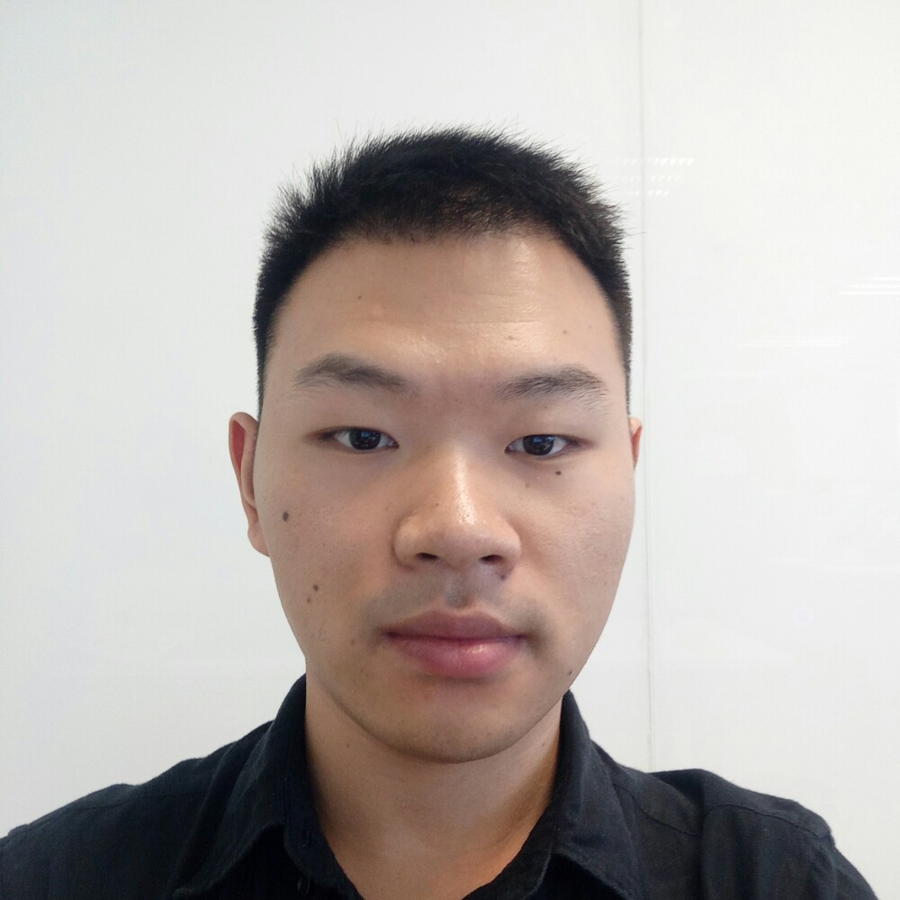 荣耀守护者的照片