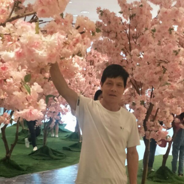 回忆烂漫的照片