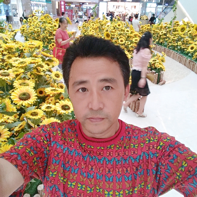 人生如旅家似寄的照片