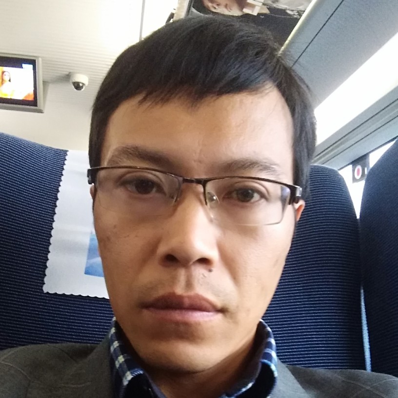 常青树上的照片
