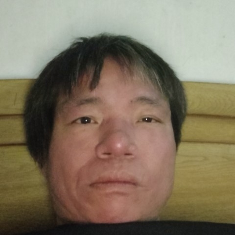 小天鹅拾忆懵懂的照片