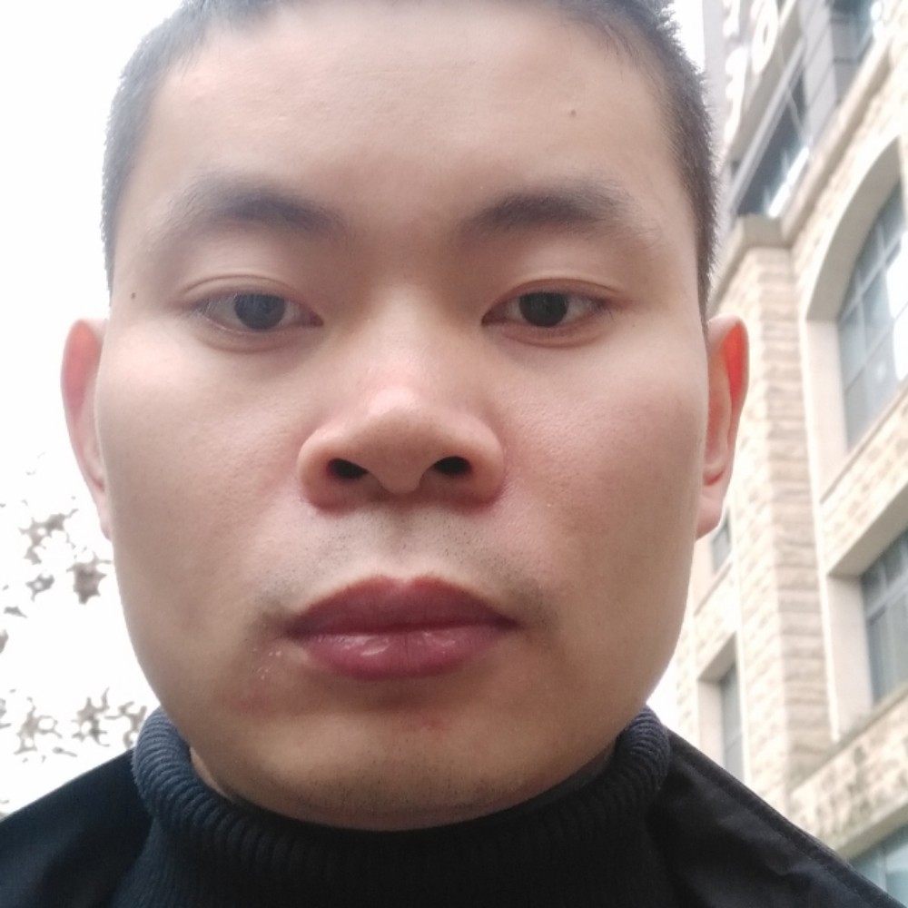 秋天落叶亮的照片
