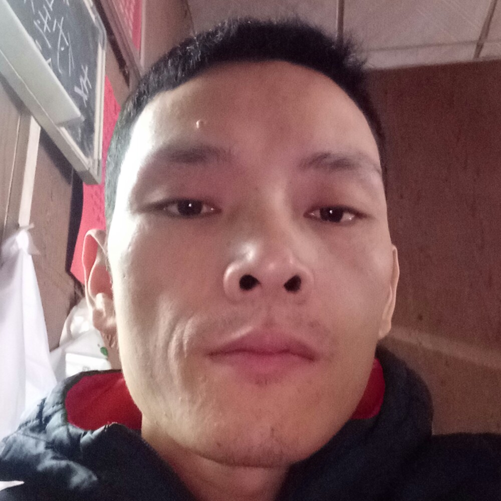 机智小熊的照片