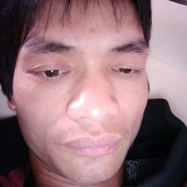 红玫瑰可爱的照片