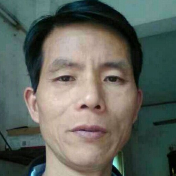 楚动人的照片