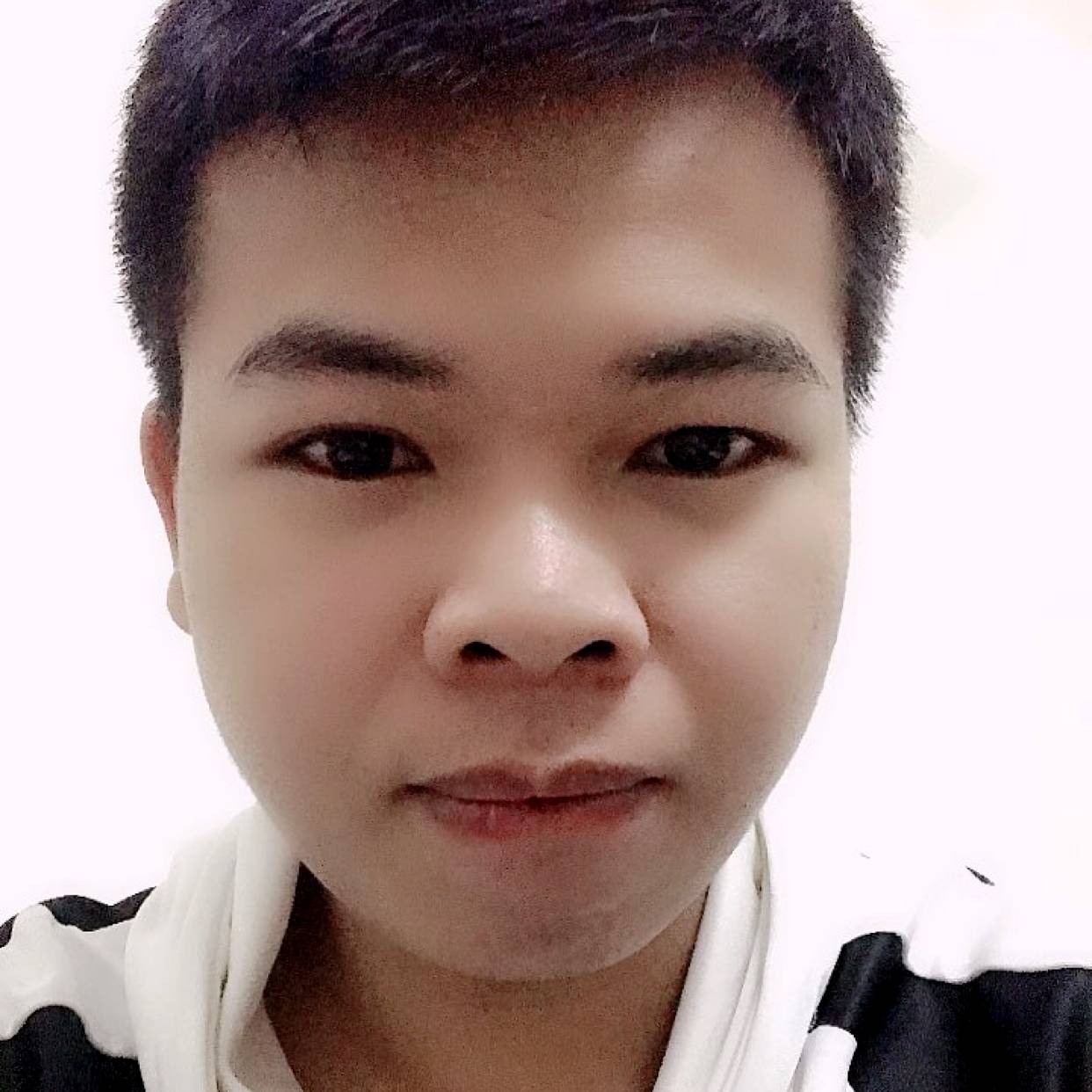 自然有趣的灵魂的照片