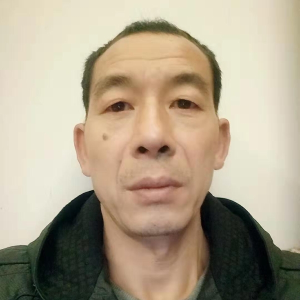 朴实的青蛙的照片