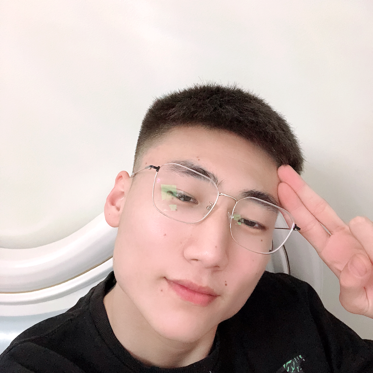 梦之猪的照片
