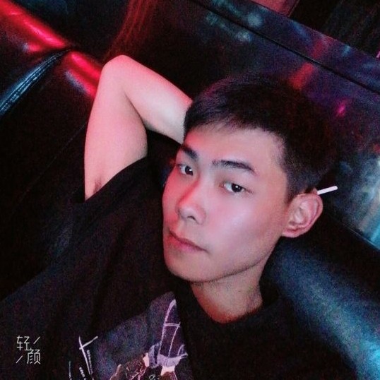 狗保卫激动的照片